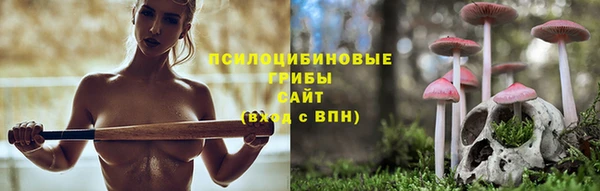 спайс Алексеевка