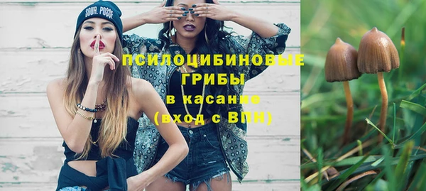 а пвп мука Алзамай