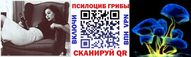 Купить закладки  Выборг  Галлюциногенные грибы Psilocybe 